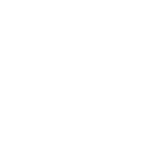 EFFE Digital Strategy